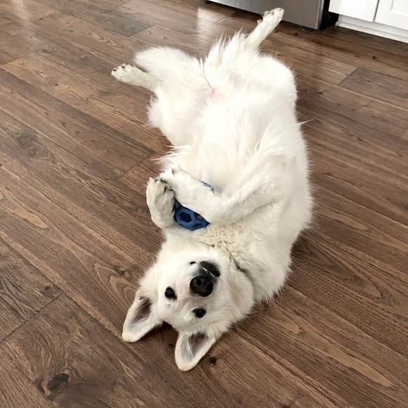 Thanks for stopping by💕 - Picture 1 of 1